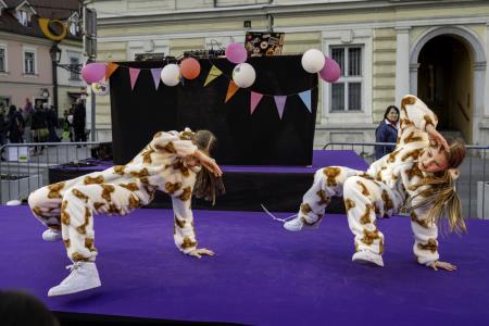 Tradicionalni Kamniški karneval 2025 (54)